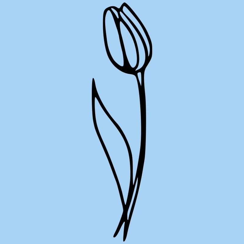 Tulipe