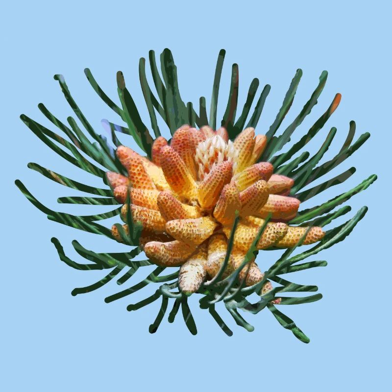 Creative fir branches