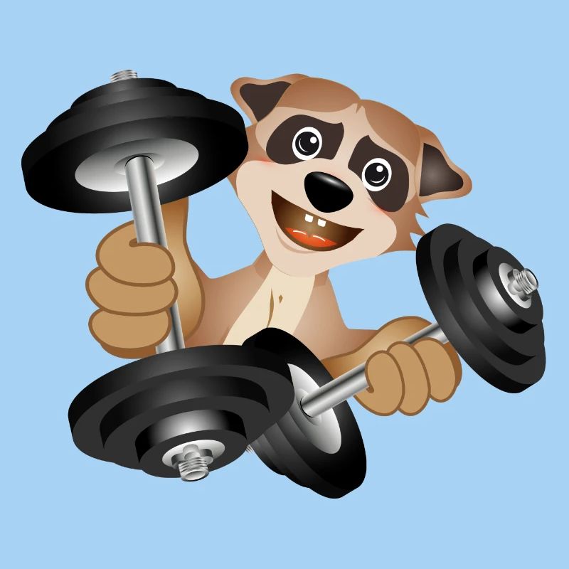 Bodybuilder meerkat with dumbbells while exercising