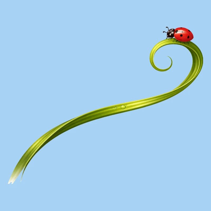 Ladybug on curved blade of grass