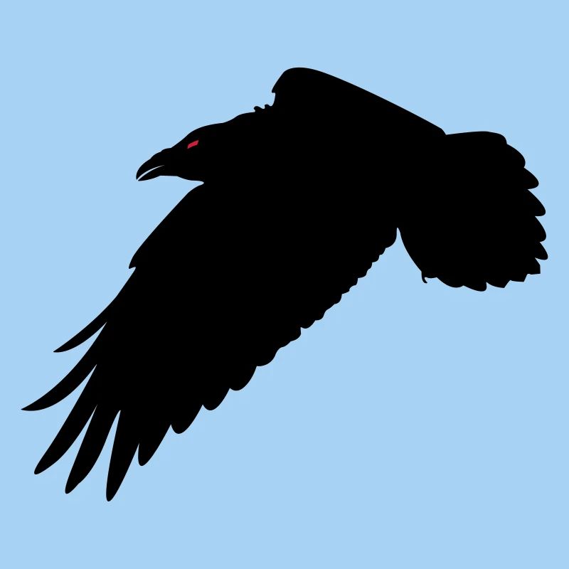 Black Raven