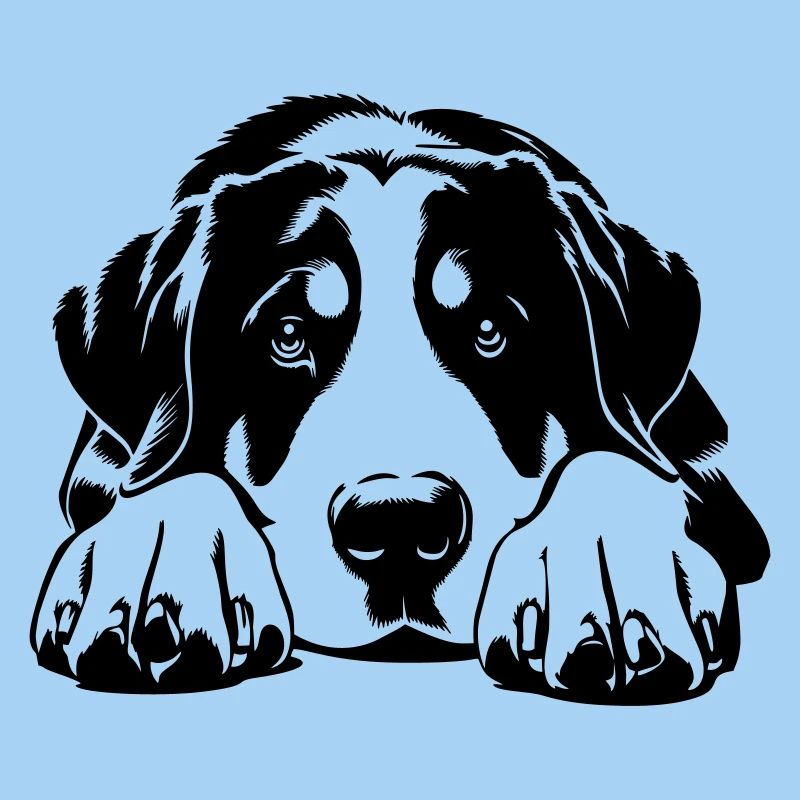 Großer Schweizer Sennenhund