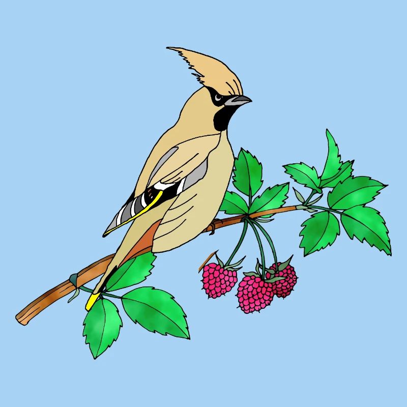 Bunter Vogel