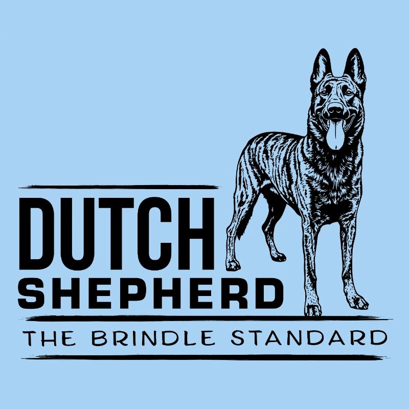 Dutch Shepherd - Dutchie 