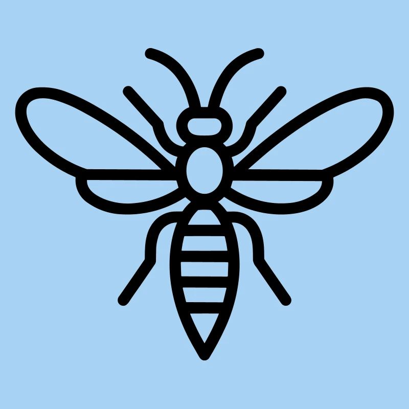 wasp