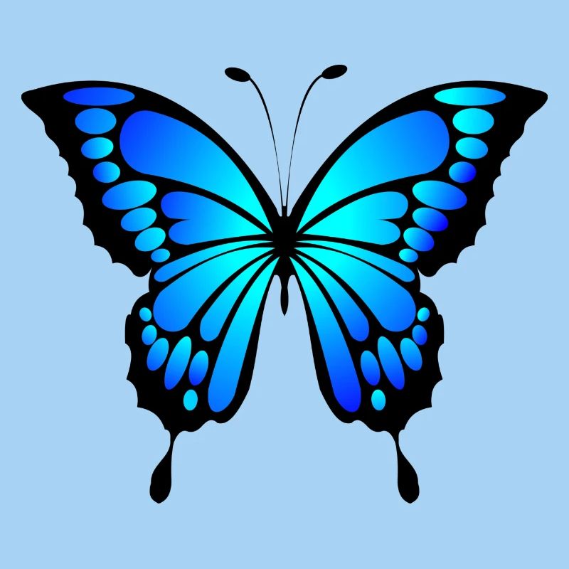 papillon