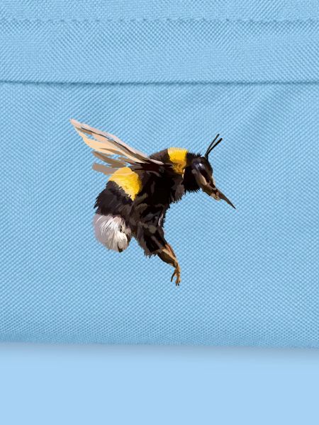 Hummel