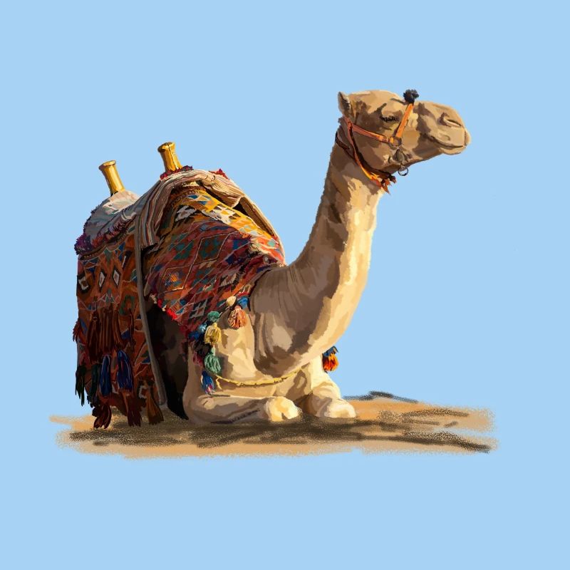 Camel