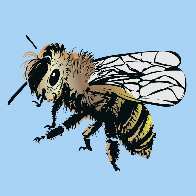 Stylized honey bee illustration