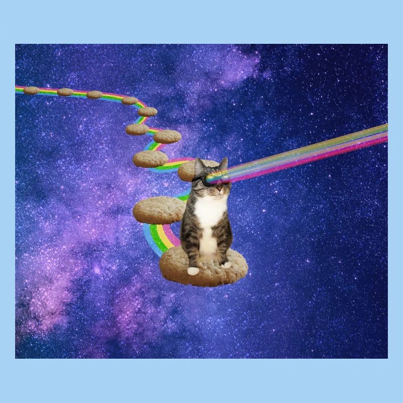 Mignon chat tigré dans l’espace