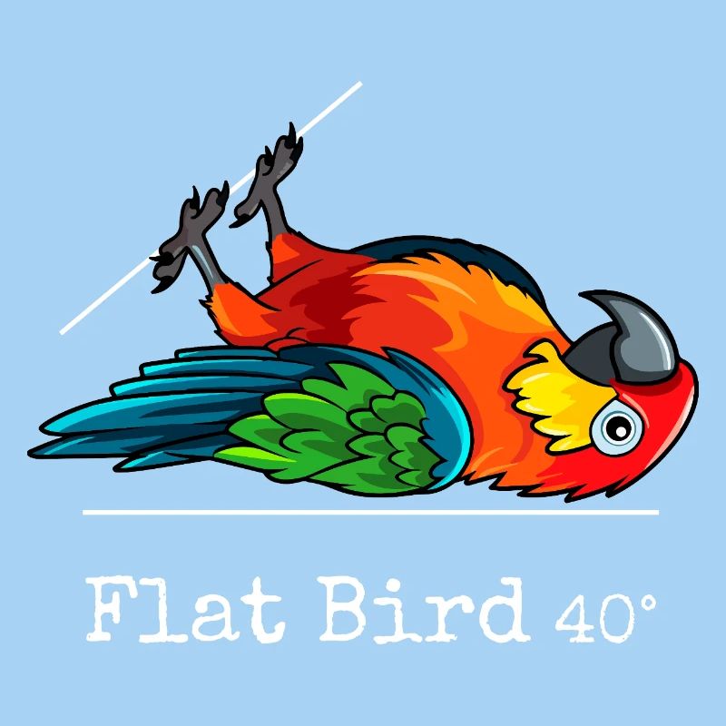 Flat Bird at 40 degrees