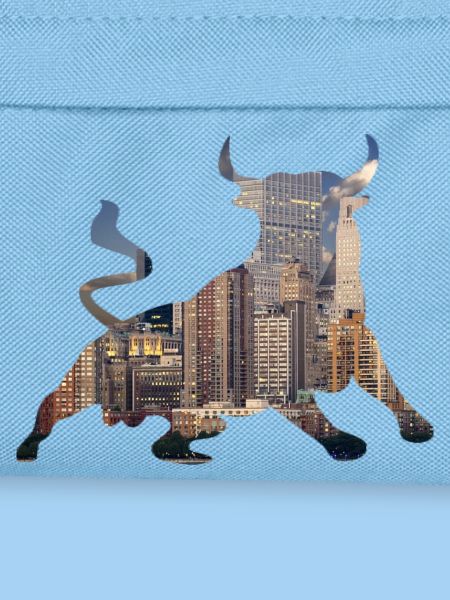 Wall-Street Bulle