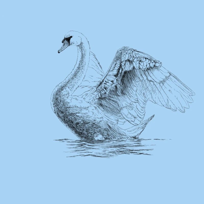 Schwan