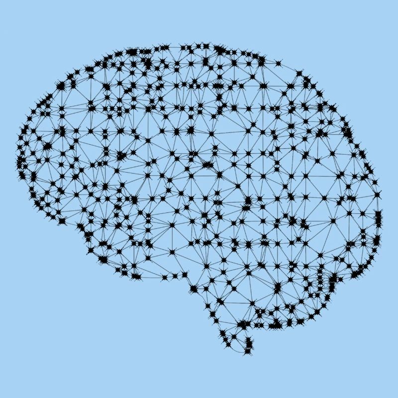 Brain