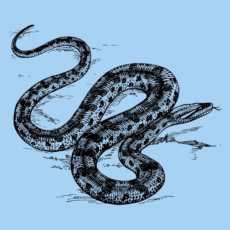 Serpent gris