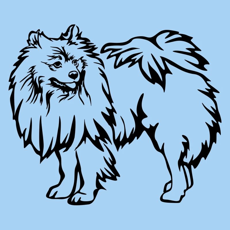 Spitz