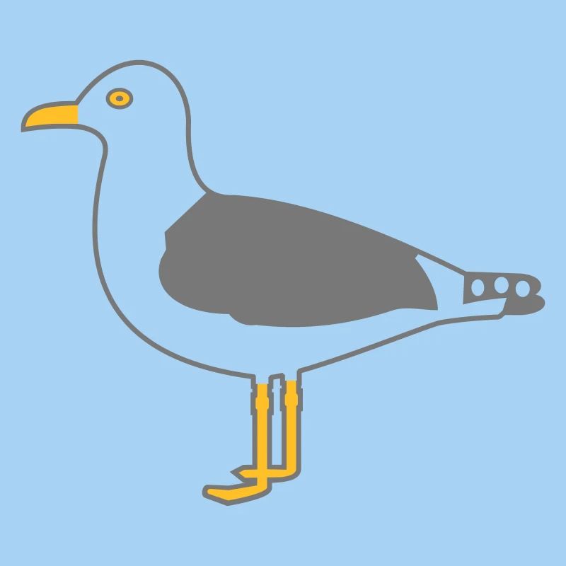 Silbermöwe