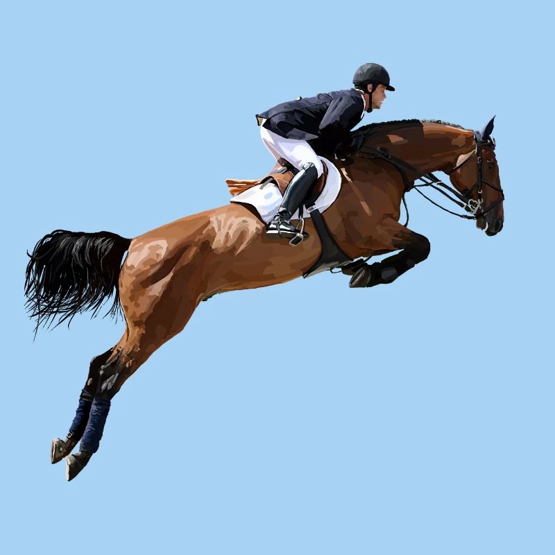 Springendes Pferd im Sprung