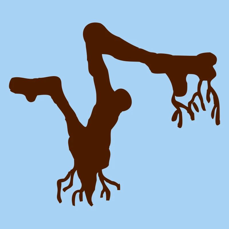 Root