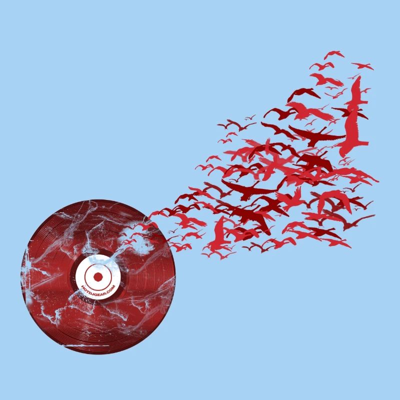 Vinyl Birds