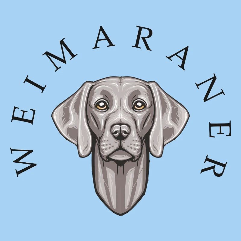 Weimaraner