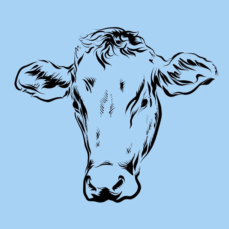 Cow cows