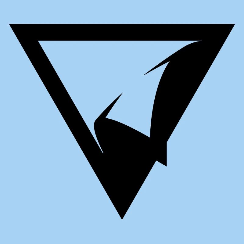 ÉCUSSON TRIANGLE
