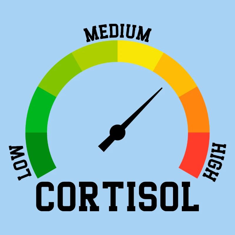 Faible Cortisol Niveau Bas Meme