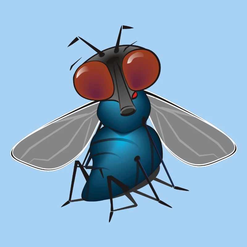 fliege