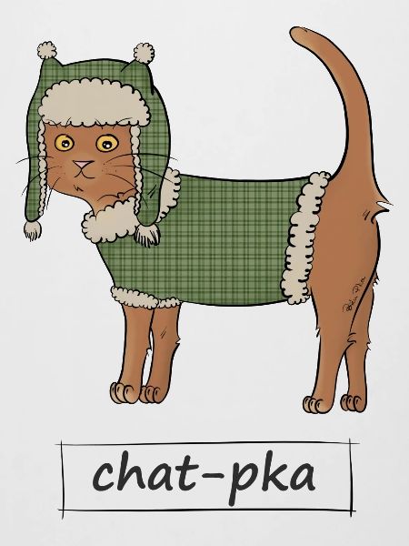 Chat-pka