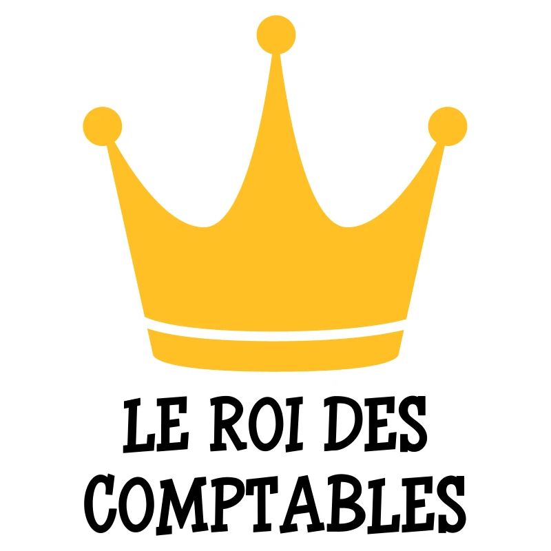 Accountant / Accounting / Comptable / Comptabilité