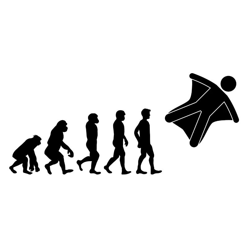 Wingsuit flying Base Jumping Skydiving Evolution