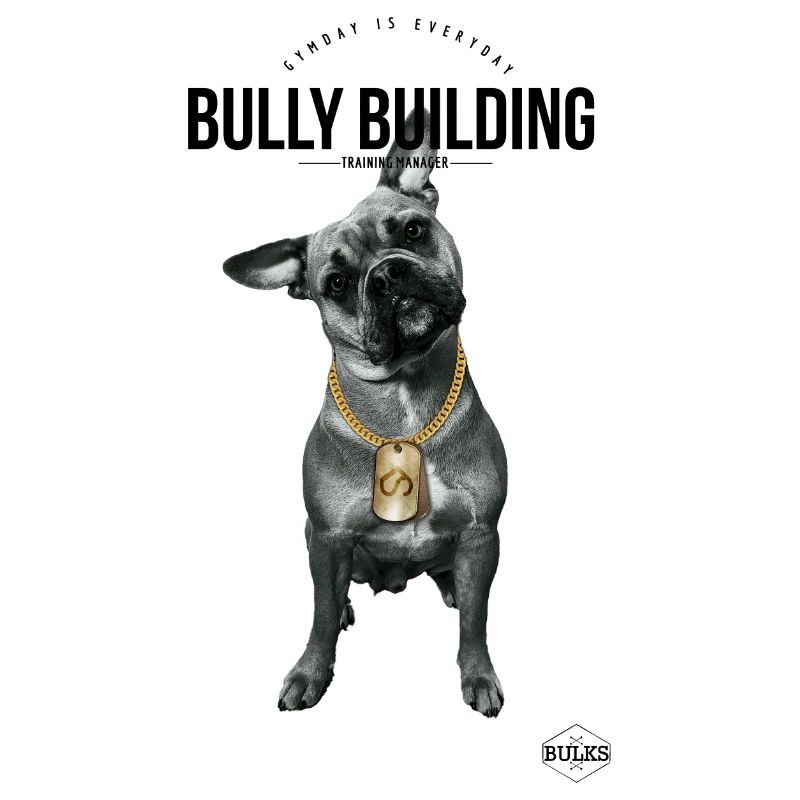 BullyBuilding