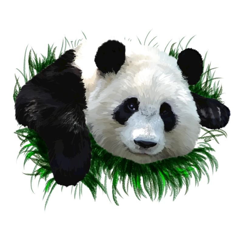 panda