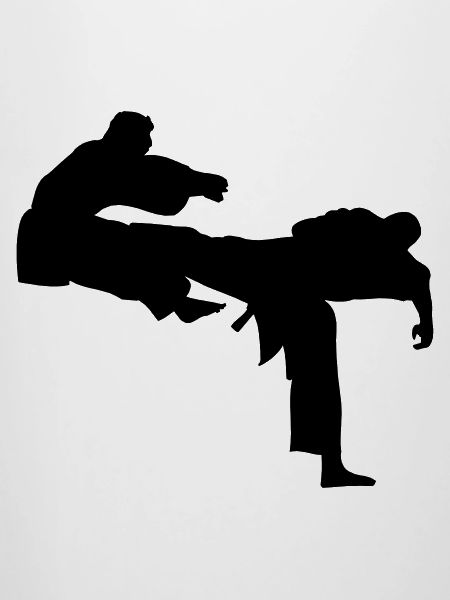 Kick geri kick karate