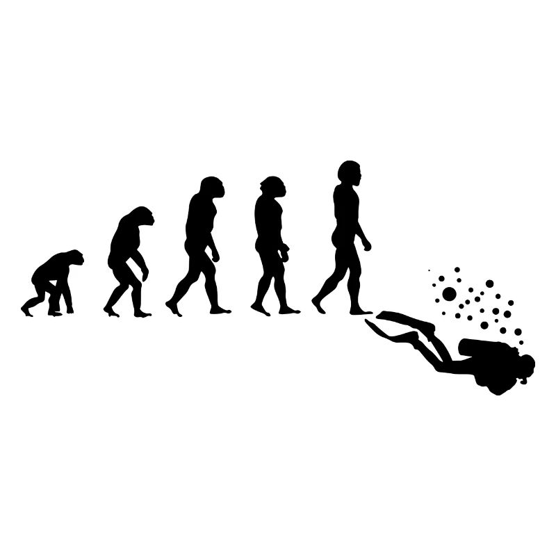 Diving Diver Scuba Evolution