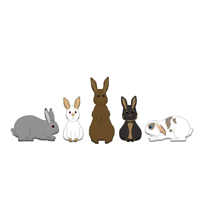 5 Lapin