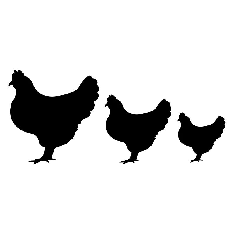 huhn_002