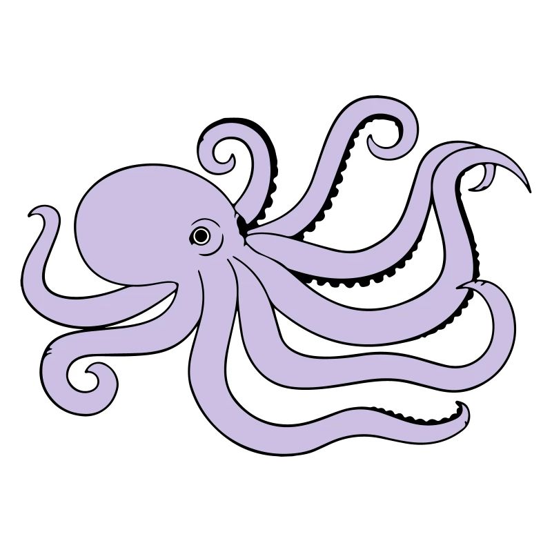 octopus