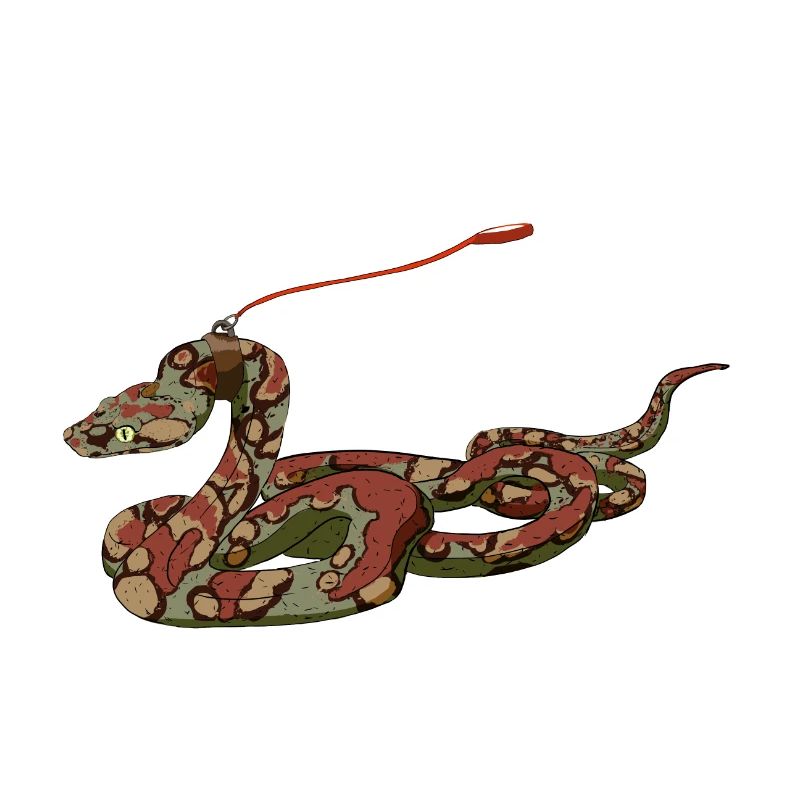 Boa constrictor en laisse dans un style comique