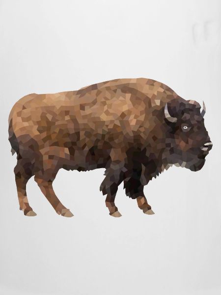 Bison