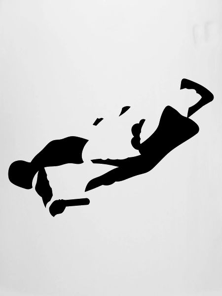 Wingsuit