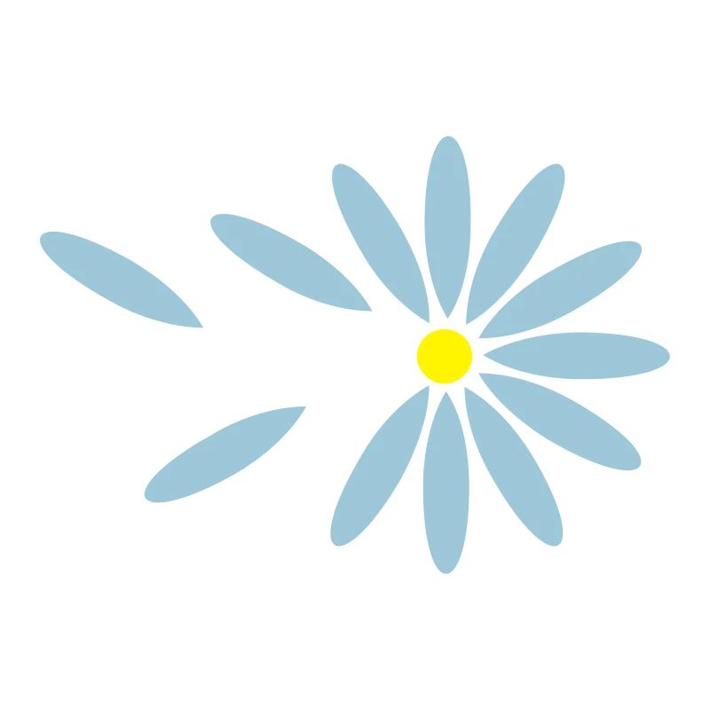 Gänseblümchen-Orakel / daisy oracle (2c)