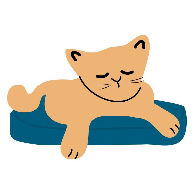 Bébé chat endormi3