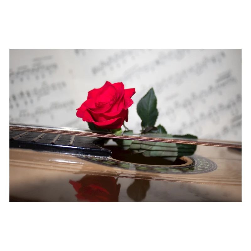 Red Rose an der Gitarre