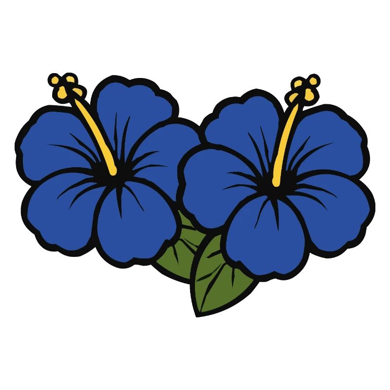 Fleurs d’hibiscus 2