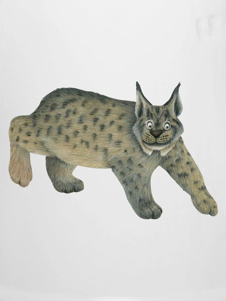 luchs