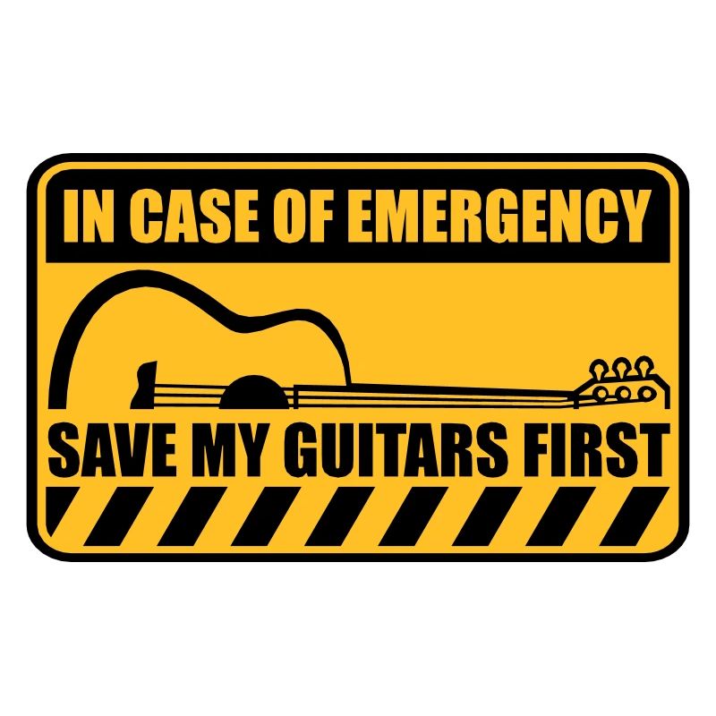 Save My Guitars First