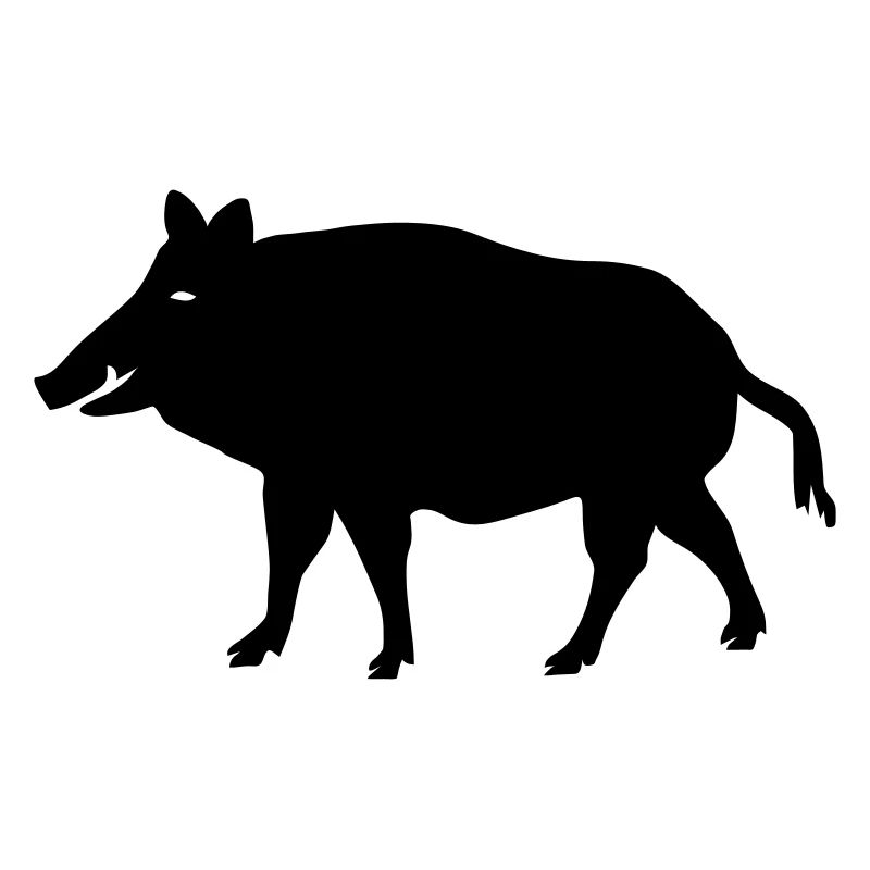 Wildschwein Schwein Tier sau eber wild wald tier