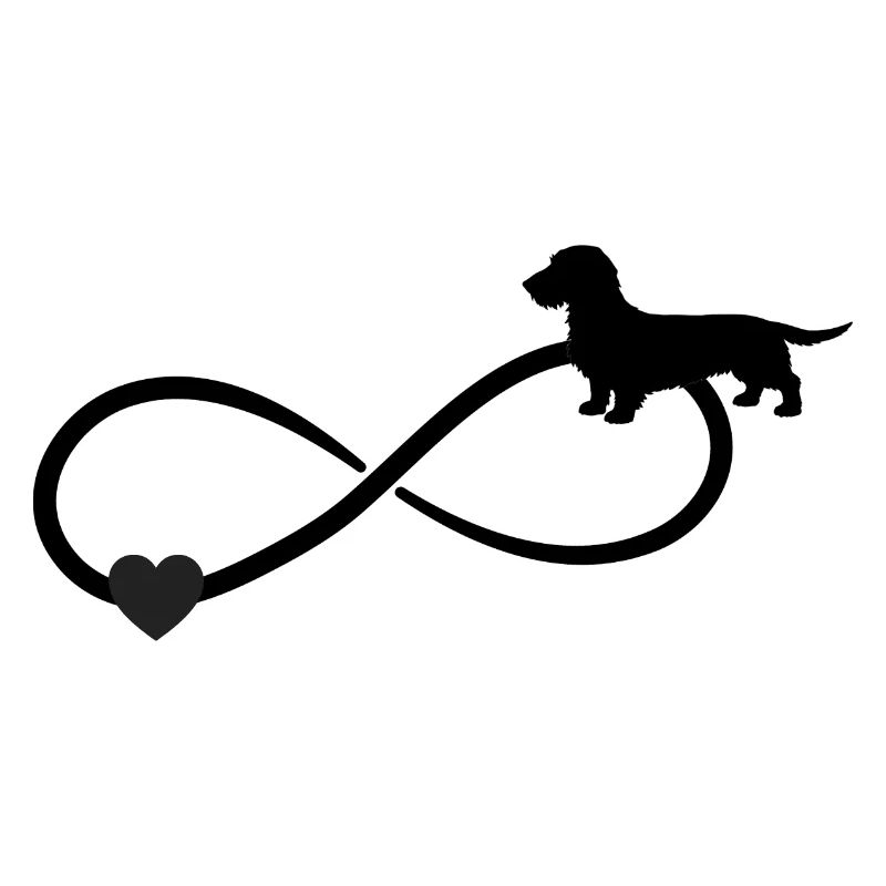 Wire-haired Dachshund Dachshund Infinity